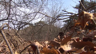 [날씨] 산불위기경보 전국 '주의', 가을 기준 역대 2번째... 내일 단비