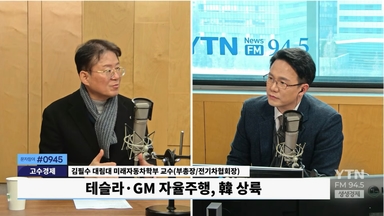 테슬라 자율주행車, 전문가 "입법 사각지대, 사고시 100% 운전자 부주의 결론 우려"