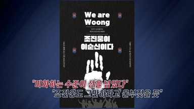 '조진웅이 이순신이다' 포스터 확산..."조진웅도 그만하라고 울부짖을 듯" [앵커리포트]