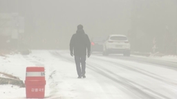 [날씨] 강원 산간 오후부터 또 최대 10cm 눈...서해안 한파주의보