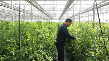 [녹색] 농업 한우물 판 5명 '명인' 선정...평균 영농 경력 35.8년