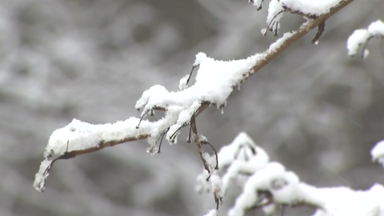 하루 새 기온 5∼10℃ 뚝...주말 대설특보 수준 많은 눈