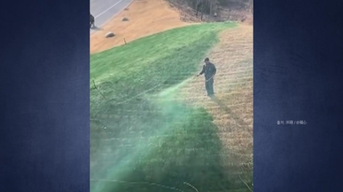 [나우쇼츠] 잔디 누렇다고 녹색 페인트를?..."영양제다" 해명