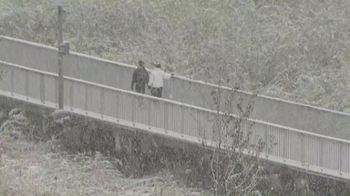 [날씨] 주말 중부 대설특보 수준 많은 눈..."서울도 최고 7cm"
