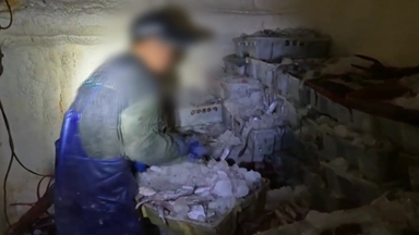 전문업체에 기름탱크 위장까지...중국어선 '비밀어창' 추적기