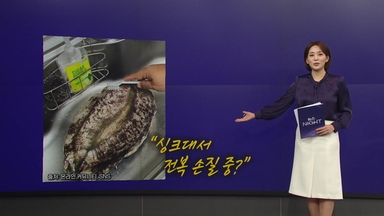 완도에 기부하고 받은 '전복 쿠션' 화제 [앵커리포트]