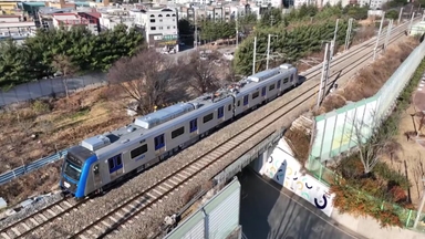 '대경선' 1년 만에 500만 명 탔다...지역 불균형·혼잡은 숙제