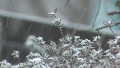[날씨] 중부 중심 많은 눈...최대 15cm, 습설 유의하세요!