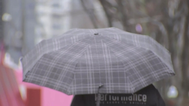 [날씨] 중부 많은 눈 집중, 최고 15cm...경기·강원 '대설주의보'