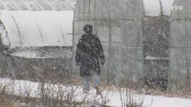경기 북동부 등 대설 주의보...오후 늦게 많은 눈