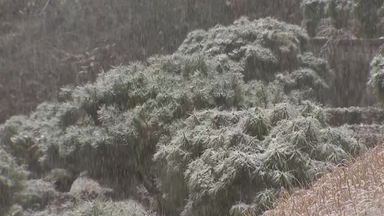 강원 산지 최대 15cm 폭설...눈길 교통사고·시설물 피해 주의