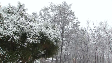 강원 영서북부 대설주의보...최대 15cm 폭설