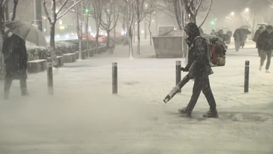 건설보다 6배 무거운 '습설'..."무조건 빨리 치워야 한다" [Y녹취록]