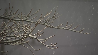 밤까지 수도권 일대 눈...이 시각 경기 포천