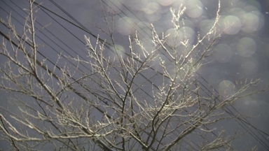 수도권 대설주의보 해제..."자정 무렵 대부분 눈 그칠 듯"