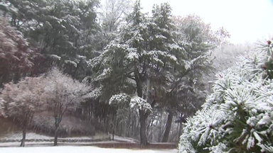 "강원 대설에 산불 걱정 덜어"...살얼음·시설 피해는 '주의'