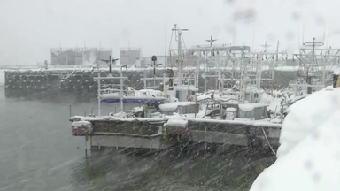 [날씨] 오늘 서쪽 중심 비·눈...찬 바람에 체감 온도↓