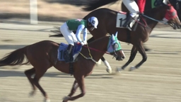 [주간 경마] 짙은 안개 속 경주...말이 기수를 믿어야?