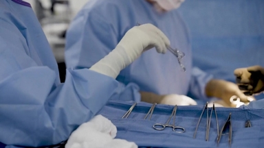 '이종 장기이식' 첫 임상...'장기 부족' 새 희망될까