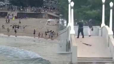 시드니 본다이 해변 총격 테러 16명 사망..."총격범 2명 부자지간"