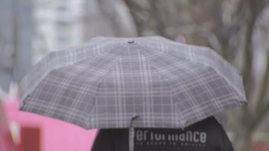 [출근길 YTN 날씨 12/16] 추위 걱정 없어 '예년보다 온화'...중부 약한 비·눈