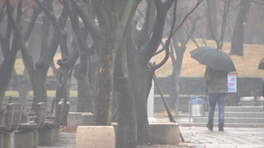 [날씨] 오늘 중부 곳곳 약한 비·눈...밤부터 '국외 미세먼지'