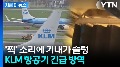 '찍' 소리에 기내가 술렁... KLM, 항공편 취소하고 긴급 방역 [지금이뉴스]