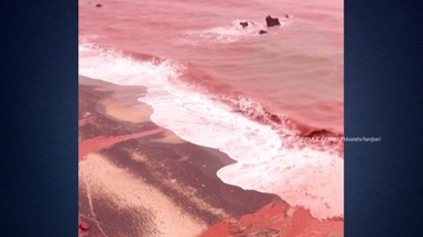 [나우쇼츠] 공포영화 한 장면 같은 '붉은 바다'...이유는?