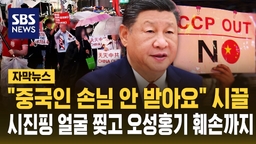 [자막뉴스] 시진핑 방한 앞두고 '혐중 시위' 대책 비상…왜?