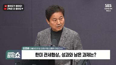 [정치쇼] 김영배 "한미정상회담 A …핵잠, 한반도에 최적화 된 전략"
