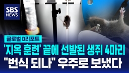 [글로벌D리포트] 우주로 간 4마리 생쥐…"인간 장기 체류 대비"