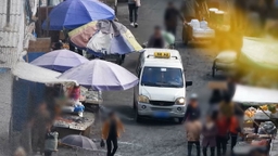 북한서 갑자기 급증해 '깜짝' 정체…곳곳서 포착